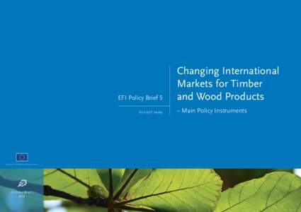EFI Policy Brief 5 EU FLEGT Facility Changing International Markets for Timber and Wood Products