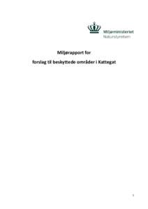Miljørapport for forslag til beskyttede områder i Kattegat 1  Indhold