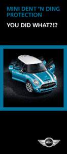 MINI DENT ’N DING PROTECTION YOU DID WHAT?!? MINI DENT ’N DING PROTECTION