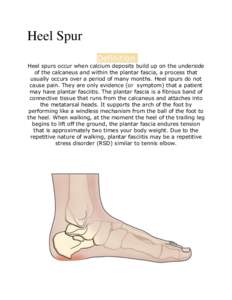 Heel Spur Definition Heel spurs occur when calcium deposits build up on the underside of the calcaneus and within the plantar fascia, a process that usually occurs over a period of many months. Heel spurs do not