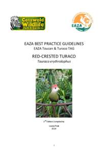EAZA BEST PRACTICE GUIDELINES EAZA Toucan & Turaco TAG RED-CRESTED TURACO Tauraco erythrolophus