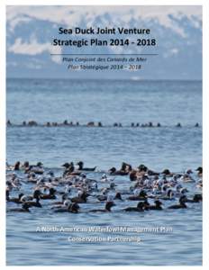 Sea Duck Joint Venture Strategic Plan[removed]___________________________________ Plan Conjoint des Canards de Mer Plan Stratégique 2014 – 2018