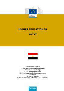 HIGHER EDUCATION IN EGYPT