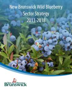 New Brunswick Wild Blueberry Sector Strategy[removed] New Brunswick Wild Blueberry Sector Strategy[removed]