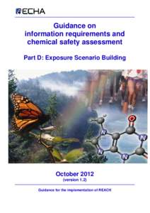 Guidance on information requirements and chemical safety assessment Part D: Exposure Scenario Building  October 2012