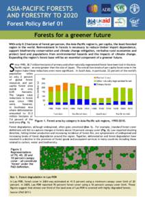 ASIA-PACIFIC FORESTS AND FORESTRY TO 2020 Forest Policy Brief 01 Forests for a greener future With only 0.2 hectares of forest per person, the Asia-Pacific region is, per capita, the least forested