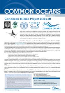 NEWS Caribbean Billfish Project kicks off C O PAC O Western Central Atlantic Fishery Commission Billfish species including blue and white marlin, sailfish and spearfish, make significant contributions to the