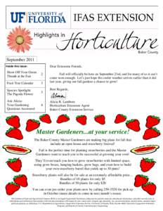 Plant morphology / Flowers / Ornamental trees / Fruit / Gardening / Bulb / Gardener / Loquat / Garden / Tomato / Citrus / Variegation