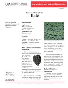 Kale (FSA6069):Kale (FSA6069)