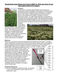 Standardized Impact Monitoring Protocol (SIMP) for White-top (Hoary Cress) Stem-galling Weevil (Pre-release): Overview: A critical part of successful weed biological control programs is monitoring the impact of biologica