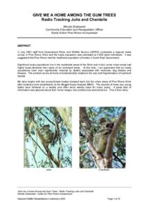 Shire of Pine Rivers / Mammals of Australia / Koala / Eucalyptus