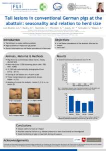 Tail lesions in conventional German pigs at the abattoir: seasonality and relation to herd size