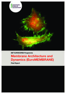 Lipidomics / Lipid raft / Lipid bilayer / Membrane protein / Cell membrane / Biological membrane / Outline of cell biology / Cell biology / David S. Cafiso / Biology / Membrane biology / European Science Foundation