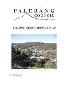 A SNAPSHOT OF CAPTAINS FLAT  Prepared February 2008 A Snapshot of Captains Flat Snapshots have been prepared for Palerang, Braidwood, Bungendore and Captains Flat to