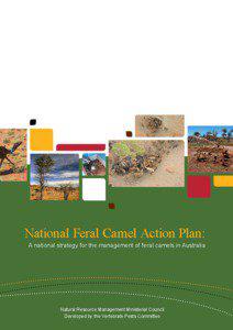 National Feral Camel Action Plan: A national strategy for the management of feral camels in Australia