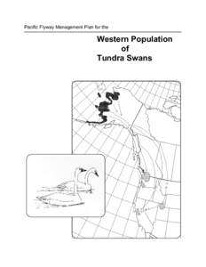 Pacific Flyway Management Plan for the  Western Population of Tundra Swans