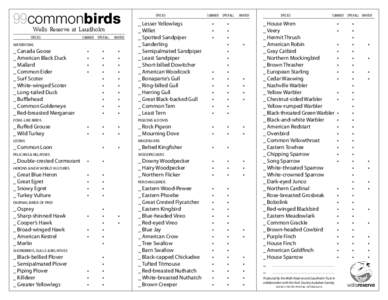 99commonbirds Wells Reserve at Laudholm Species