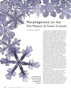 Morphogenesis on Ice: The Physics of Snow Cr ystals by Kenneth G. Libbrecht A Caltech-designed snow crystal heads a flurry of