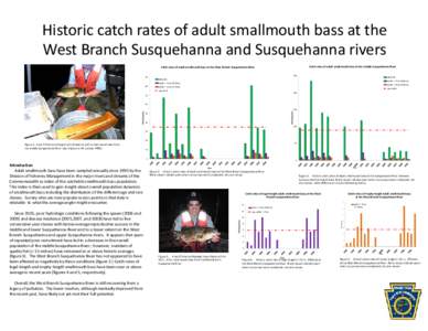 Geography of the United States / Susquehanna River / Fish / Micropterus / Smallmouth bass