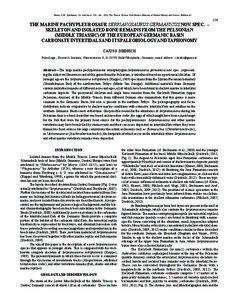 Tanner, L.H., Spielmann, J.A. and Lucas, S.G., eds., 2013, The Triassic System. New Mexico Museum of Natural History and Science, Bulletin[removed]