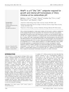 Microbiology (2012), 158, 1094–1105  DOI[removed]mic[removed]NhaP1 is a K+(Na+)/H+ antiporter required for growth and internal pH homeostasis of Vibrio