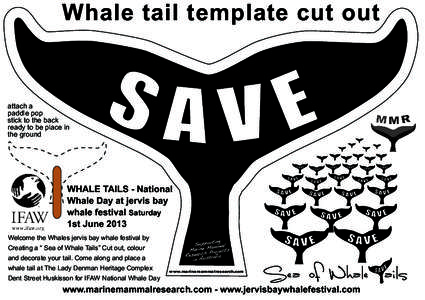 Whale tail / Whaling / Jervis Bay / Whale / Culture / Zoology / Water / Whale watching / Fashion / Lingerie / Neologisms