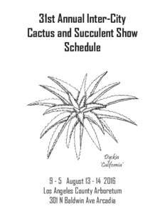 Eudicots / Caryophyllales / Botany / Cacti / Plant morphology / Succulent plant / Mammillaria / Euphorbia / Haworthia / Rebutia / Pachypodium / Cactus
