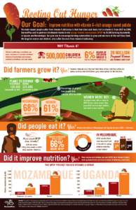 Vitamin A / Vitamin / Sweet potato / Golden rice / Vitamin K / Food and drink / Nutrition / Biology