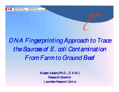 DNA Fingerprinting Approach to Trace the Sources of E. coli Contamination From Farm to Ground Beef Mueen Aslam (Ph.D., D.V.M.) Research Scientist Lacombe Research Centre