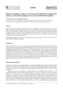 Zootaxa, Studies in Corinnidae (Araneae): a new Paratrachelas Kovblyuk & Nadolny...