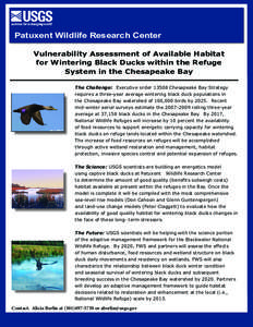 Patuxent Wildlife Research Center Vulnerability Assessment of Available Habitat for Wintering Black Ducks within the Refuge System in the Chesapeake Bay The Challenge: Executive order[removed]Chesapeake Bay Strategy requir