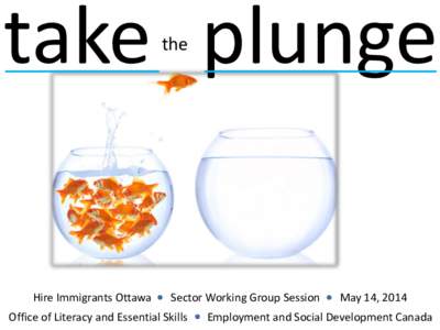 take plunge the Hire Immigrants Ottawa  Sector Working Group Session