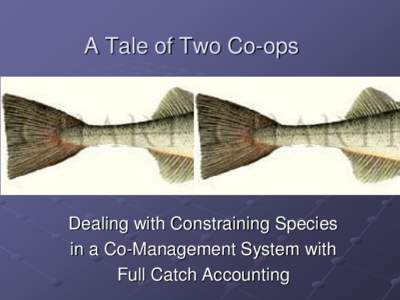 A Tale of Two Co-ops  Dealing with Constraining Species in a Co-Management System with Full Catch Accounting