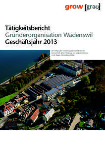 Tätigkeitsbericht Gründerorganisation Wädenswil Geschäftsjahr 2013 Die Stiftung der Gründerorganisation Wädenswil bezweckt die aktive Förderung von Jungunternehmen in der Region Zimmerberg-Sihltal.