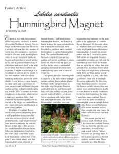 Feature Article  Lobelia cardinalis Hummingbird Magnet