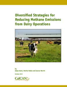 Diversified Strategies for Reducing Methane Emissions from Dairy Operations by Adam Kotin, Martha Noble and Jeanne Merrill