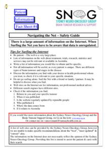 Patient Information Fact Sheet #4 Navigating the Net – Safety Guide There is a large amount of information on the Internet. When Surfing the Net you have to be aware that data is unregulated.