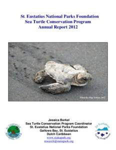 Sea turtles / Fauna of Asia / Conservation / Cryptodira / Reptiles of the Philippines / Endangered animals / STENAPA / Hawksbill sea turtle / Leatherback sea turtle / Green sea turtle / Sint Eustatius / Dutch Caribbean Nature Alliance