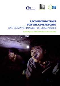 RECOMMENDATIONS FOR THE CDM REFORM: END CLIMATE FINANCE FOR COAL POWER Position Paper for COP19/CMP9, Warsaw, November 2013  EXECUTIVE SUMMARY