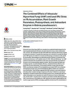 Biology / Soil biology / Symbiosis / Mycology / Fungi / Mycorrhiza / Arbuscular mycorrhiza / Chlorophyll / Magnesium in biology