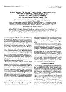 Photochemistry and Photobiology. Vol. 51, No. I , pp[removed], 1993 Printed in the United States. All rights reserved[removed]$05.00[removed]American Society for Photobiology