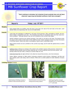 NATIONAL SUNFLOWER ASSOCIATION OF CANADA  MB Sunflower Crop Report “ Rust continues to develop, but cinnamon brown pustules have not yet been observed. Lygus bug and banded sunflower moth have emerged.”