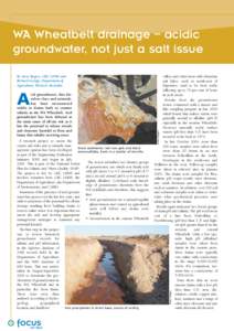 WA Wheatbelt drainage – acidic groundwater, not just a salt issue A research project to assess the causes and risks and to identify manDrain sediments, red iron gels and black agement options has been developed