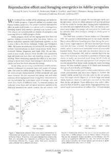 Reproductive effort and foraging energetics in Adélie penguins DONALD N. JANES, VAUGHAN H. SHOEMAKER, MARK A. CHAPPELL, and COREY J. PETERSON, Biology Department, University of California, Riverside, California 92521