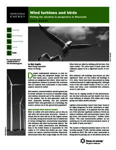 windTURBINESbirds0207.qxp