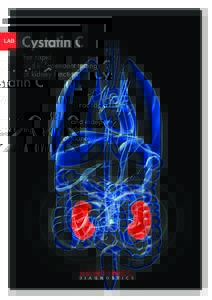 LAB  Cystatin C For rapid and independent testing of kidney function