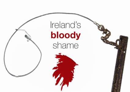 Ireland’s bloody shame This is one of up to 6,000 snares set for badgers each night