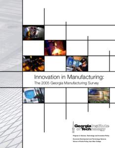 Innovation in Manufacturing: The 2005 Georgia Manufacturing Survey Program in Science, Technology and Innovation Policy Economic Development and Technology Ventures School of Public Policy, Ivan Allen College