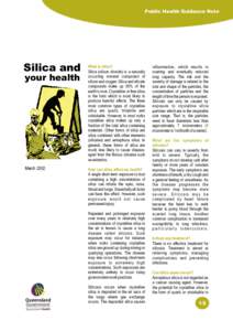 Environmental Health Guidance Note - Silica And Your Health