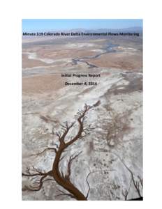 Minute 319 Colorado River Delta Environmental Flows Monitoring  Initial Progress Report December 4, 2014  Authority